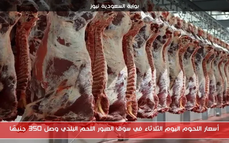 أسعار اللحوم اليوم الثلاثاء في سوق العبور اللحم البلدي وصل 350 جنيهًا