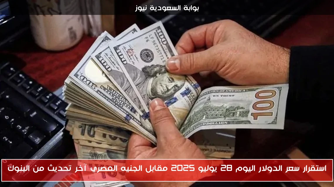 استقرار سعر الدولار اليوم 28 يوليو 2025 مقابل الجنيه المصري آخر تحديث من البنوك