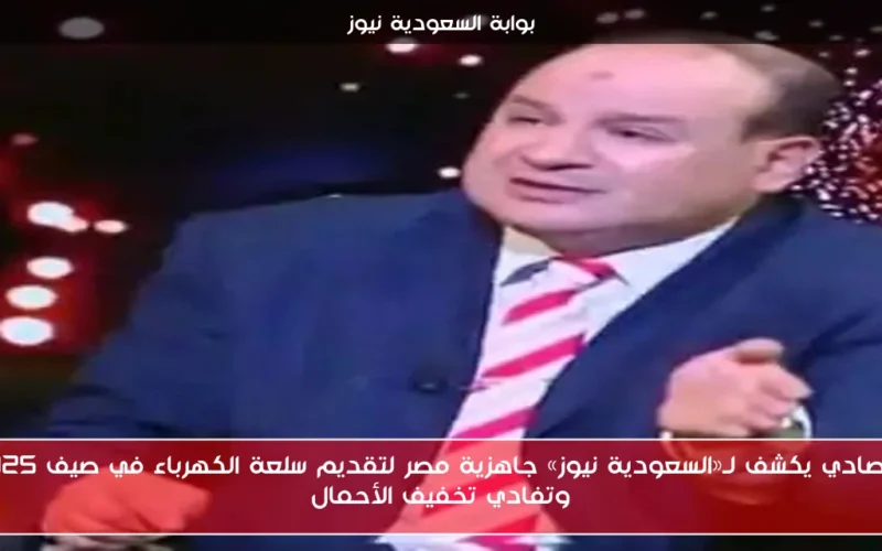 اقتصادي يكشف لـ«السعودية نيوز» جاهزية مصر لتقديم سلعة الكهرباء في صيف 2025 وتفادي تخفيف الأحمال