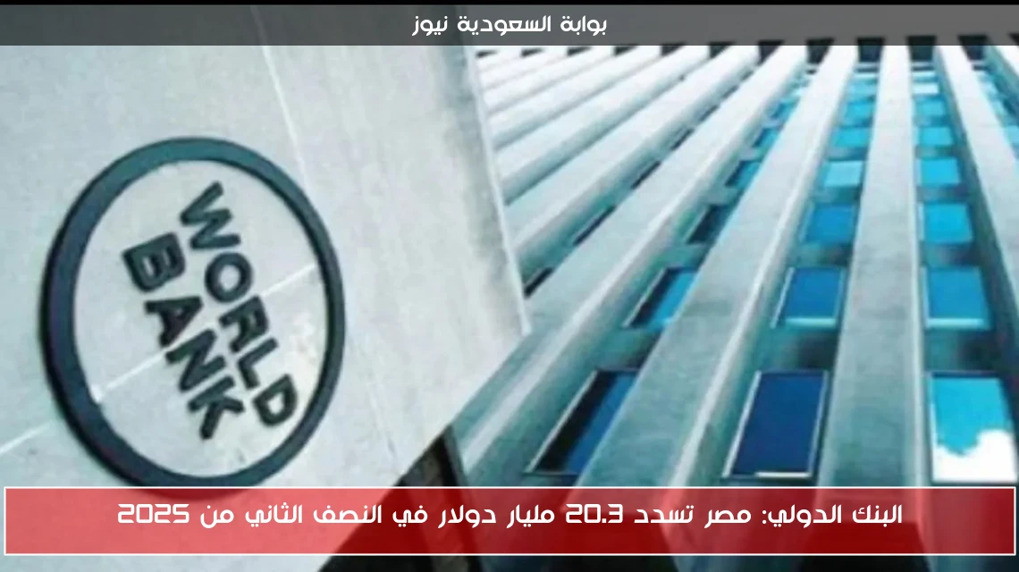 البنك الدولي: مصر تسدد 20.3 مليار دولار في النصف الثاني من 2025