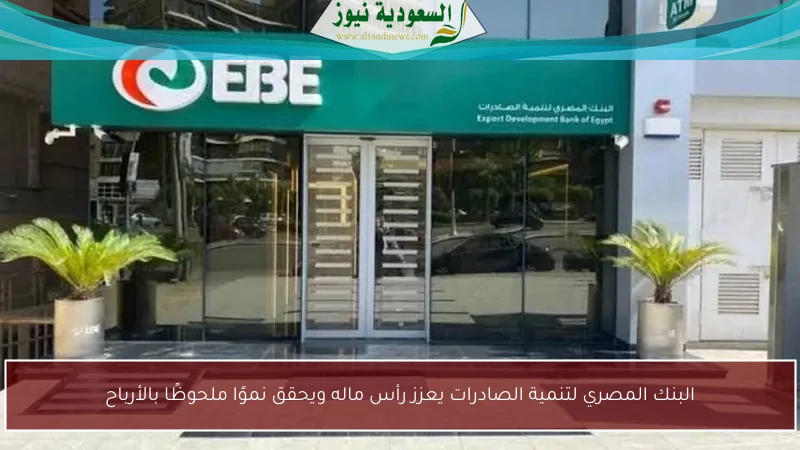 البنك المصري لتنمية الصادرات يعزز رأس ماله ويحقق نموًا ملحوظًا بالأرباح