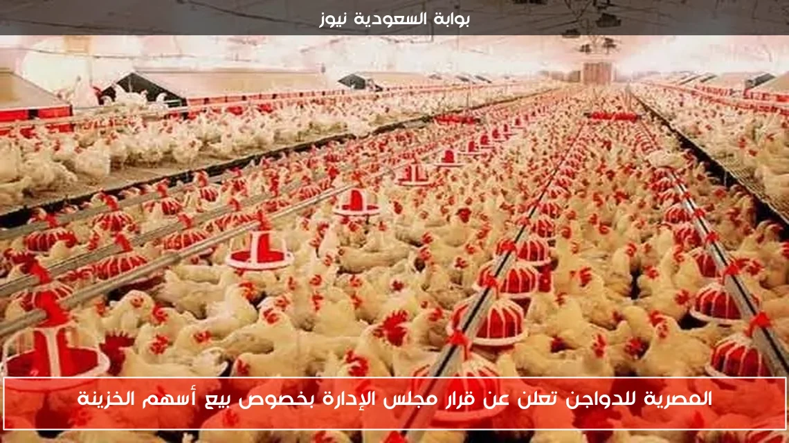المصرية للدواجن تعلن عن قرار مجلس الإدارة بخصوص بيع أسهم الخزينة