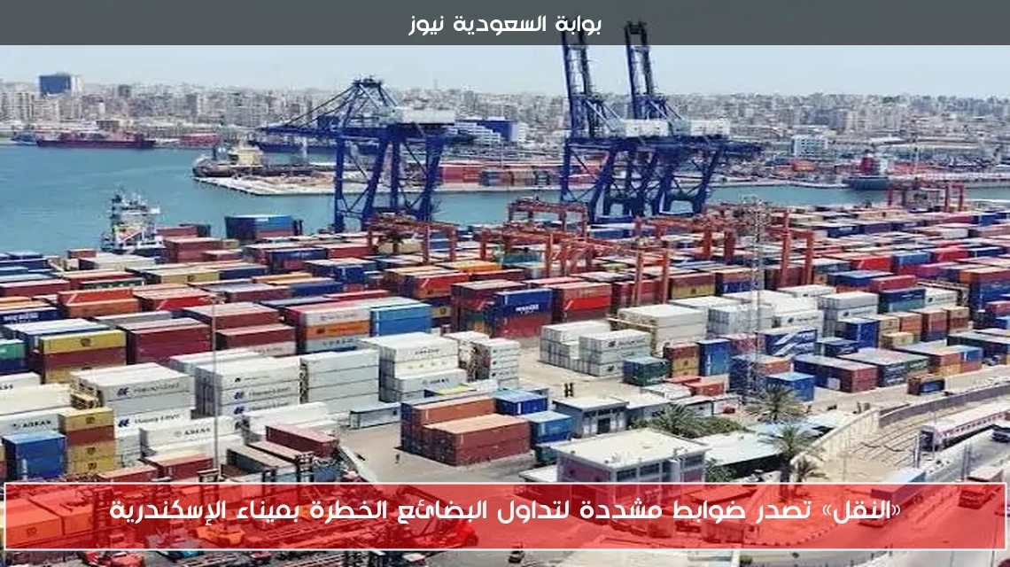 «النقل» تصدر ضوابط مشددة لتداول البضائع الخطرة بميناء الإسكندرية
