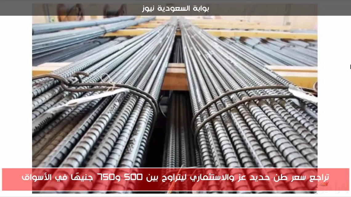تراجع سعر طن حديد عز والاستثماري ليتراوح بين 500 و750 جنيهًا في الأسواق