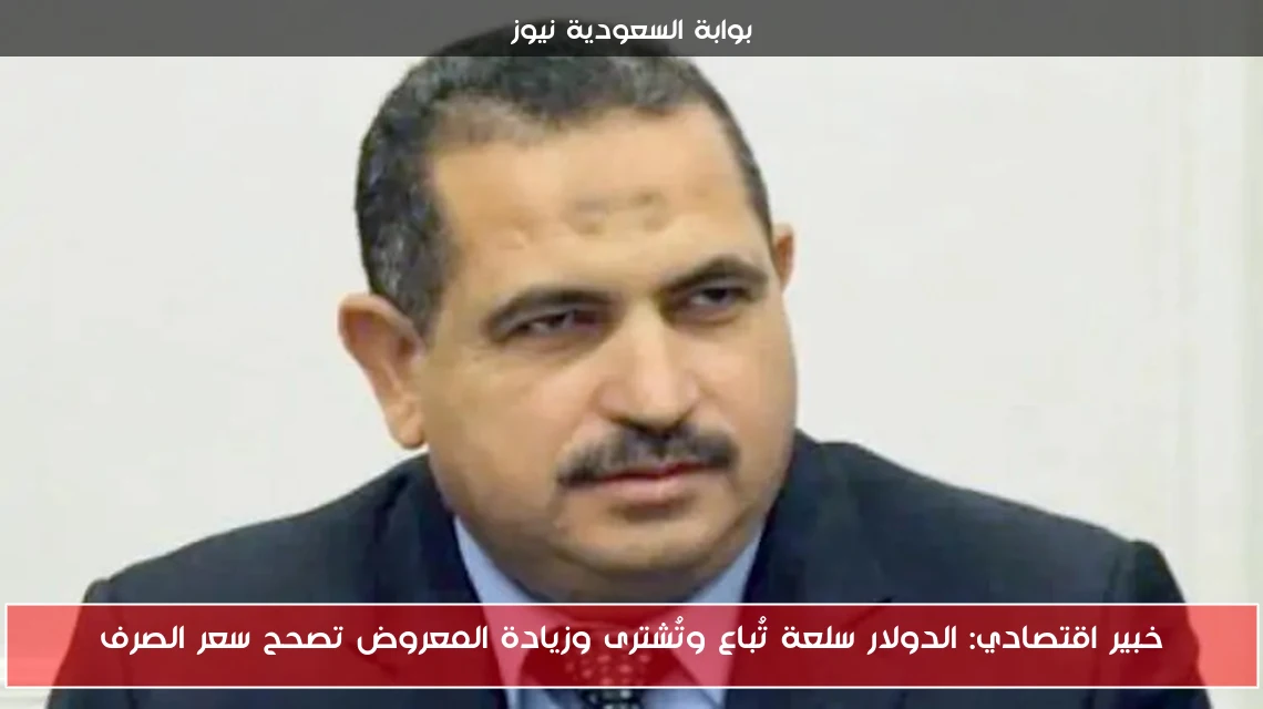 خبير اقتصادي: الدولار سلعة تُباع وتُشترى وزيادة المعروض تصحح سعر الصرف
