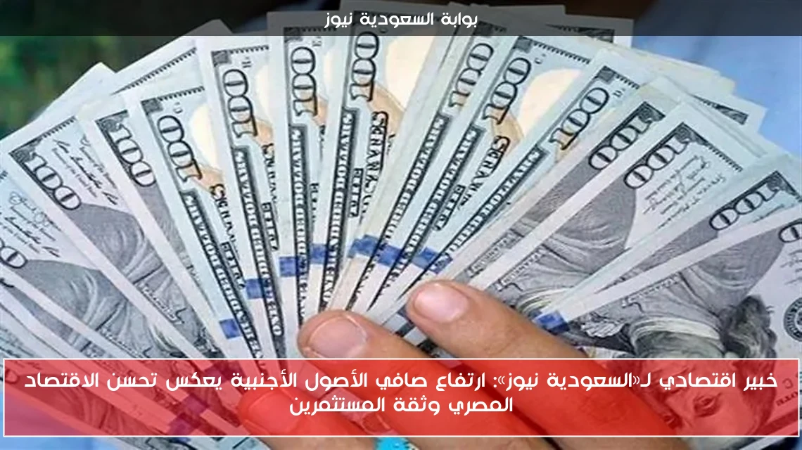 خبير اقتصادي لـ«السعودية نيوز»: ارتفاع صافي الأصول الأجنبية يعكس تحسن الاقتصاد المصري وثقة المستثمرين