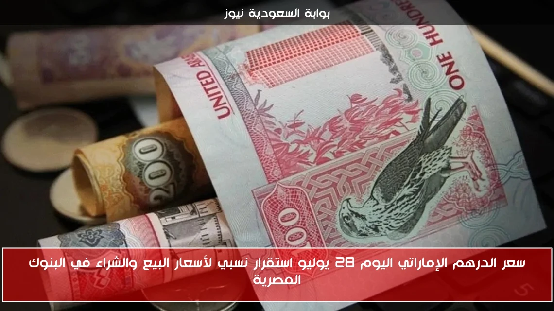 سعر الدرهم الإماراتي اليوم 28 يوليو استقرار نسبي لأسعار البيع والشراء في البنوك المصرية