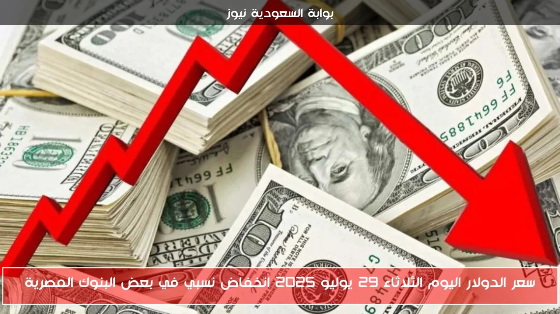 سعر الدولار اليوم الثلاثاء 29 يوليو 2025 انخفاض نسبي في بعض البنوك المصرية