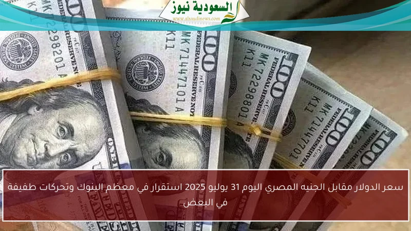 سعر الدولار مقابل الجنيه المصري اليوم 31 يوليو 2025 استقرار في معظم البنوك وتحركات طفيفة في البعض