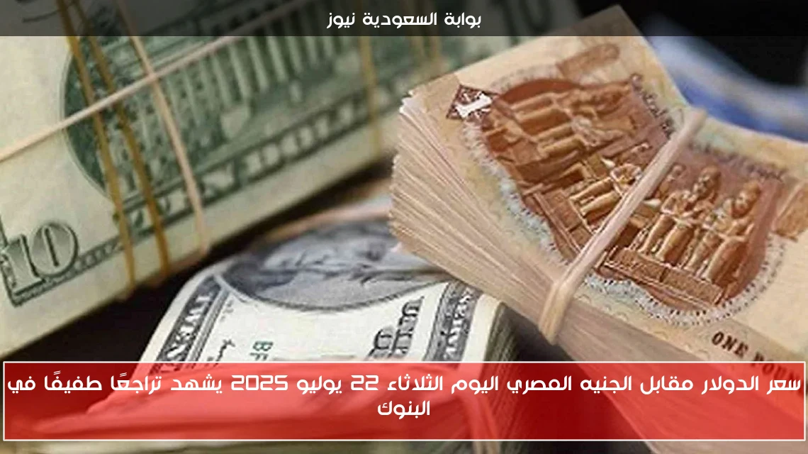 سعر الدولار مقابل الجنيه المصري اليوم الثلاثاء 22 يوليو 2025 يشهد تراجعًا طفيفًا في البنوك