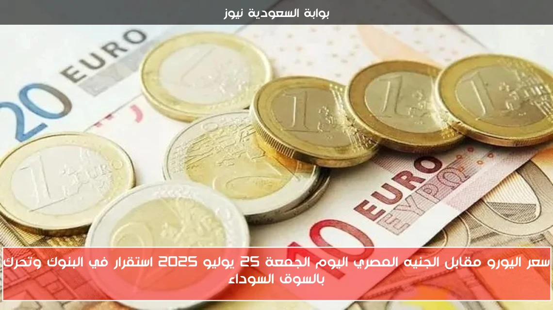 سعر اليورو مقابل الجنيه المصري اليوم الجمعة 25 يوليو 2025 استقرار في البنوك وتحرك بالسوق السوداء