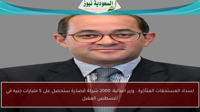 لسداد المستحقات المتأخرة.. وزير المالية: 2000 شركة مُصدّرة ستحصل على 5 مليارات جنيه في أغسطس المقبل