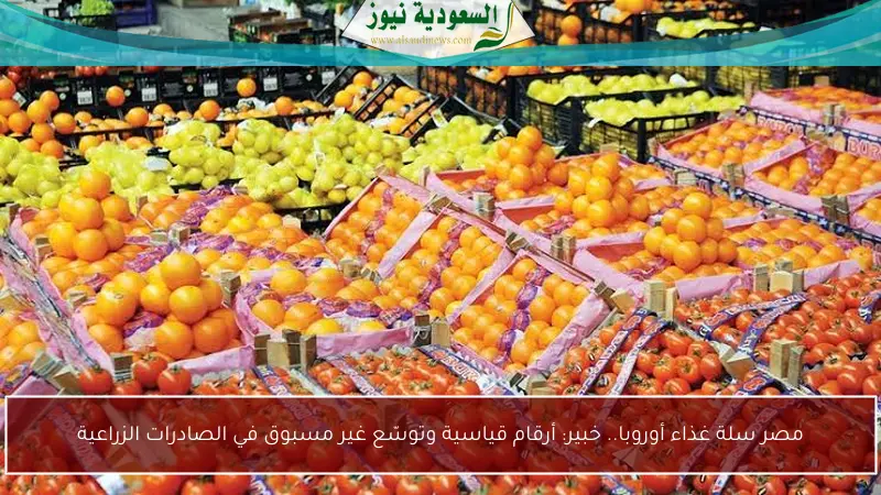 مصر سلة غذاء أوروبا.. خبير: أرقام قياسية وتوسّع غير مسبوق في الصادرات الزراعية
