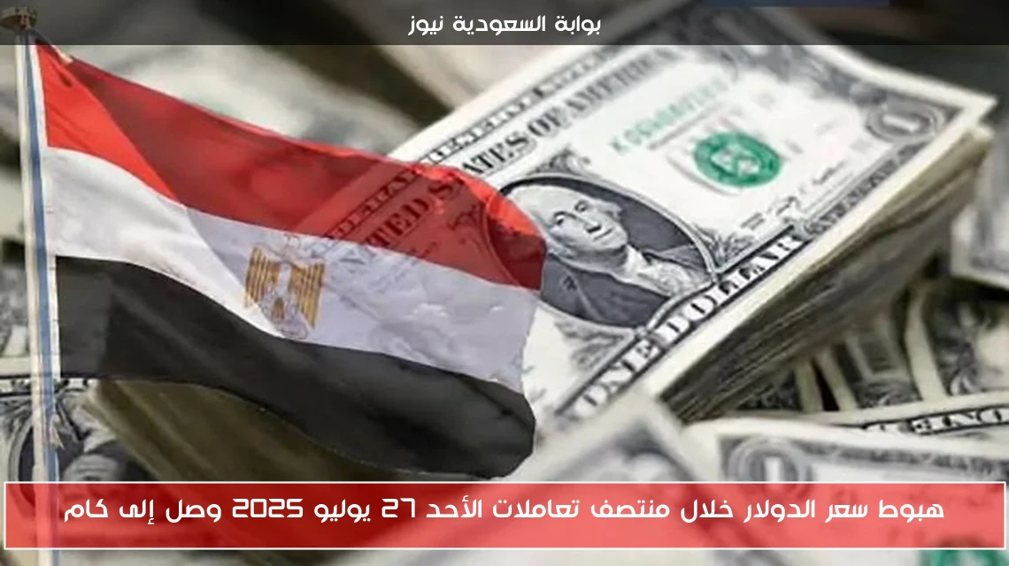 هبوط سعر الدولار خلال منتصف تعاملات الأحد 27 يوليو 2025 وصل إلى كام