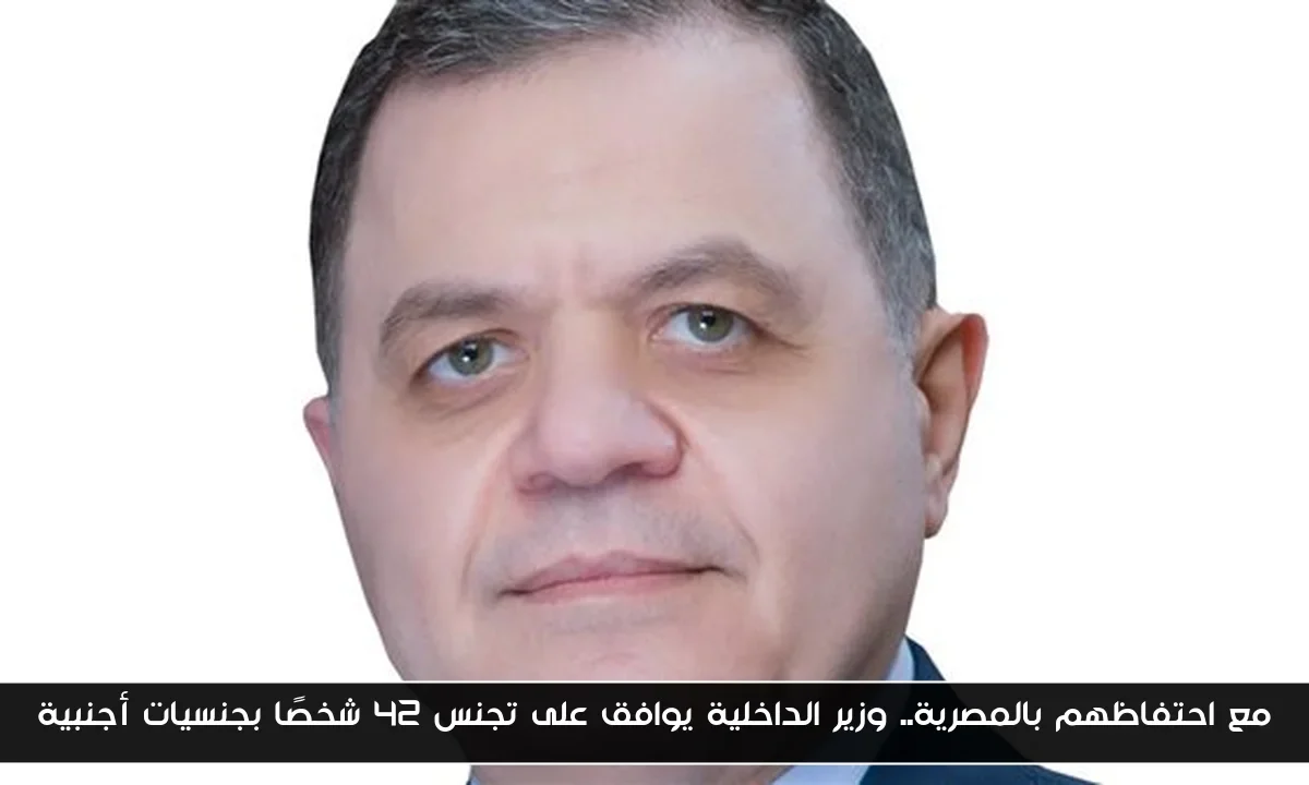 مع احتفاظهم بالمصرية.. وزير الداخلية يوافق على تجنس 42 شخصًا بجنسيات أجنبية
