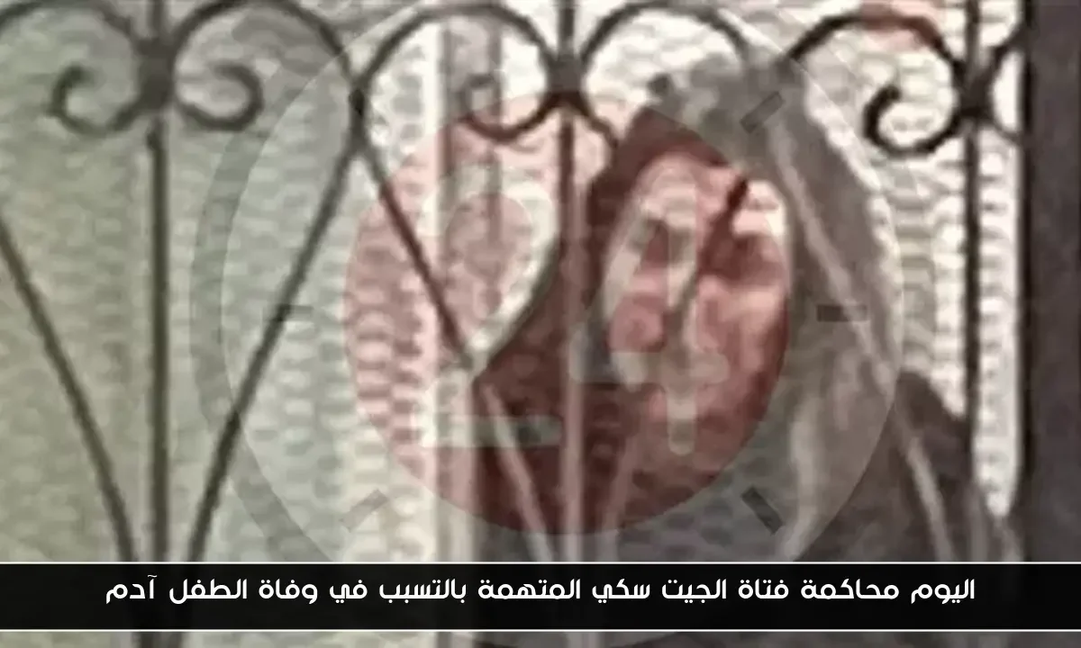 اليوم محاكمة فتاة الجيت سكي المتهمة بالتسبب في وفاة الطفل آدم