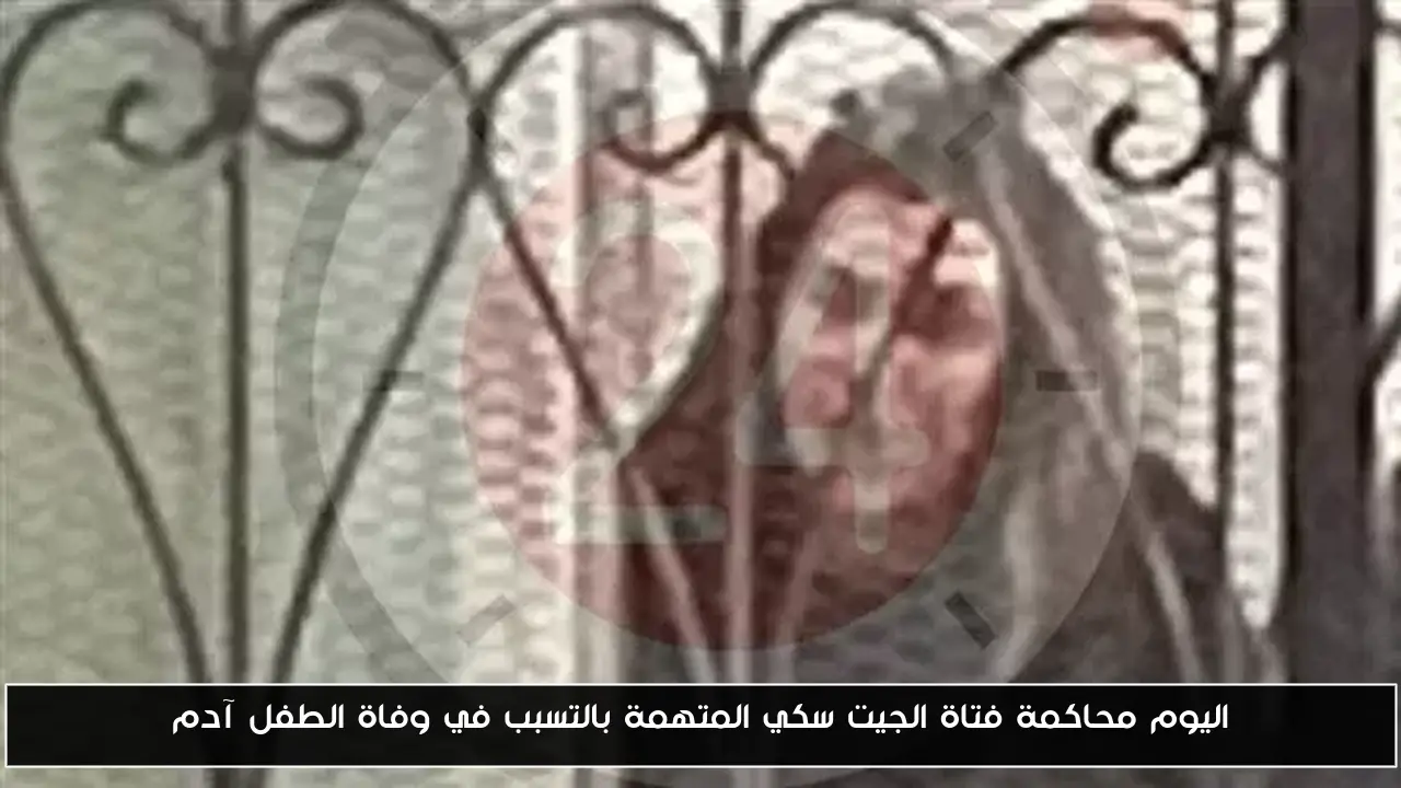 اليوم محاكمة فتاة الجيت سكي المتهمة بالتسبب في وفاة الطفل آدم