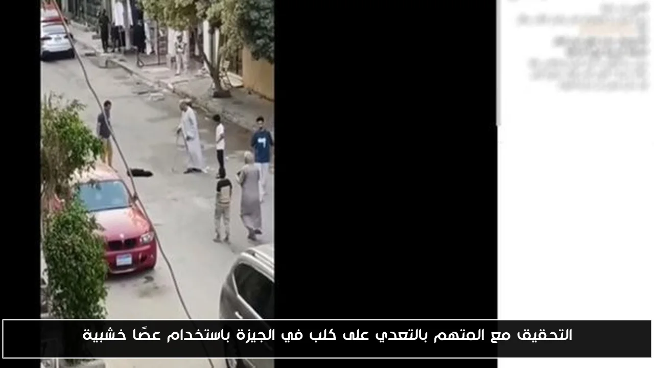 التحقيق مع المتهم بالتعدي على كلب في الجيزة باستخدام عصًا خشبية