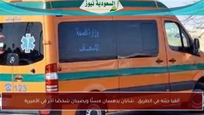 ألقيا جثته في الطريق.. شابان يدهسان مسنًا ويصيبان شخصًا آخر في الأميرية