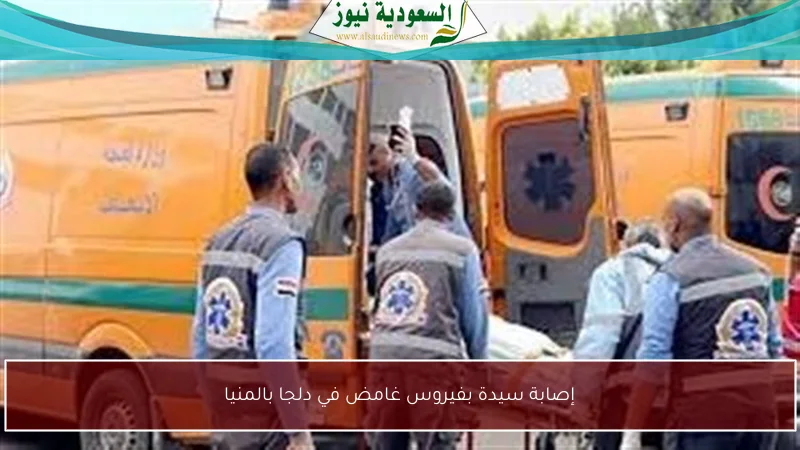 إصابة سيدة بفيروس غامض في دلجا بالمنيا