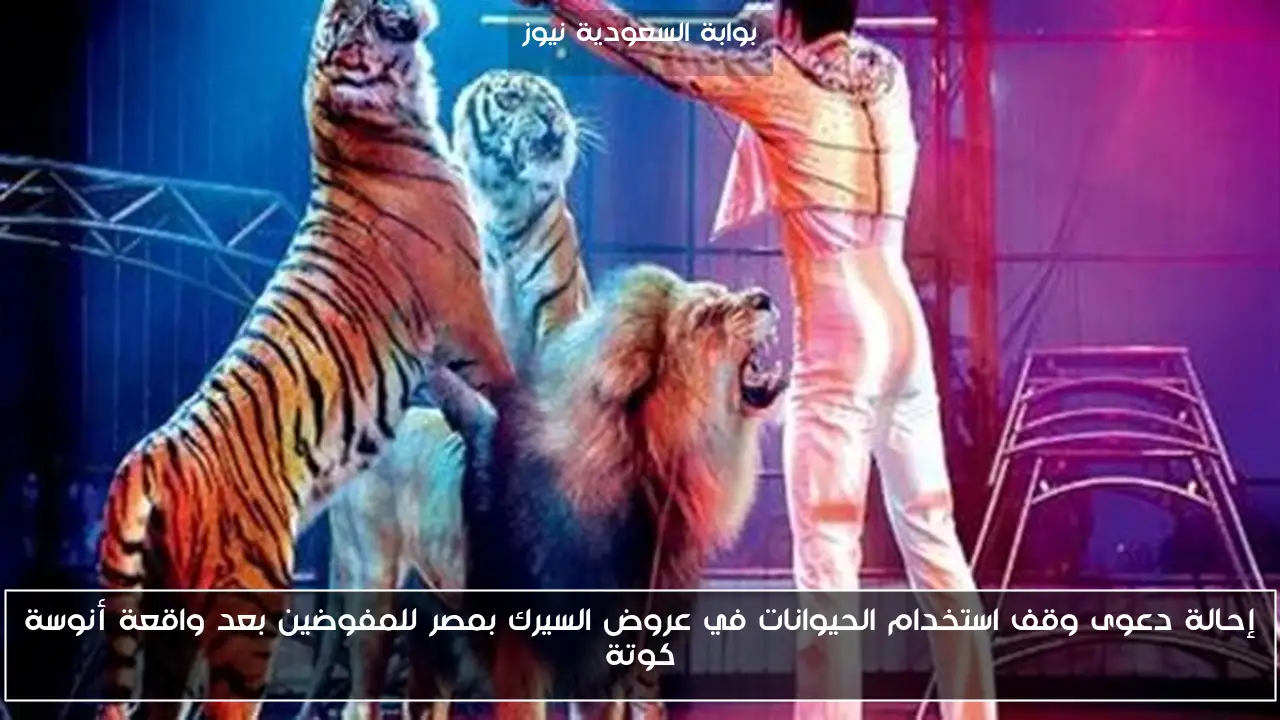 إحالة دعوى وقف استخدام الحيوانات في عروض السيرك بمصر للمفوضين بعد واقعة أنوسة كوتة