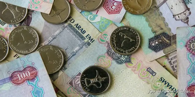 سعر الدرهم الإماراتي اليوم الجمعة 5 سبتمبر 2025 يسجل 13.2 جنيه في البنك الأهلي
