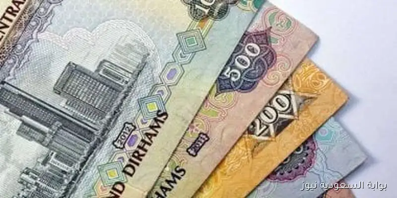 سعر الدرهم الإماراتي في البنوك المصرية اليوم السبت 30 أغسطس 2025