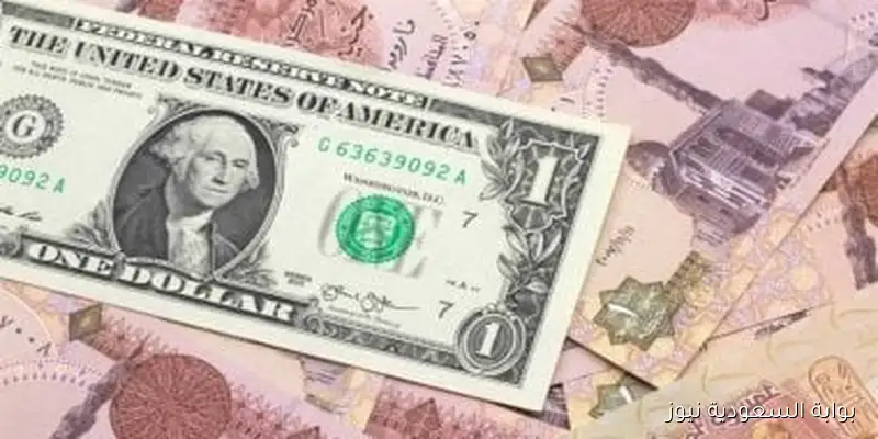 بكام سعر الدولار اليوم في بنك مصر 48.53 جنيه للشراء السبت 6 سبتمبر 2025