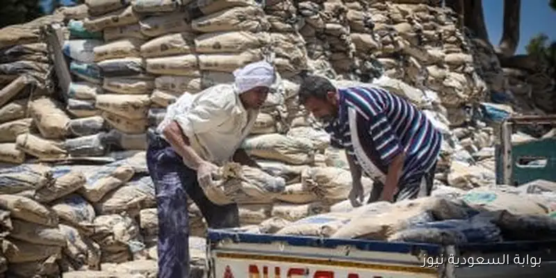 سعر الأسمنت اليوم السبت 30 أغسطس 2025: الطن بـ 4 آلاف جنيه