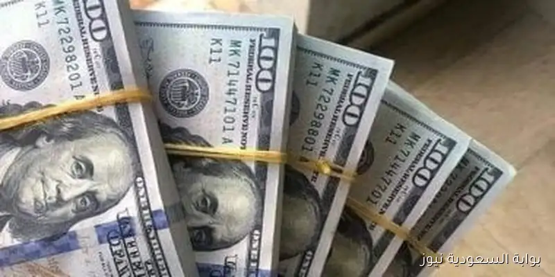 سعر الدولار اليوم في البنوك المصرية متوسط الشراء 48.55 جنيها