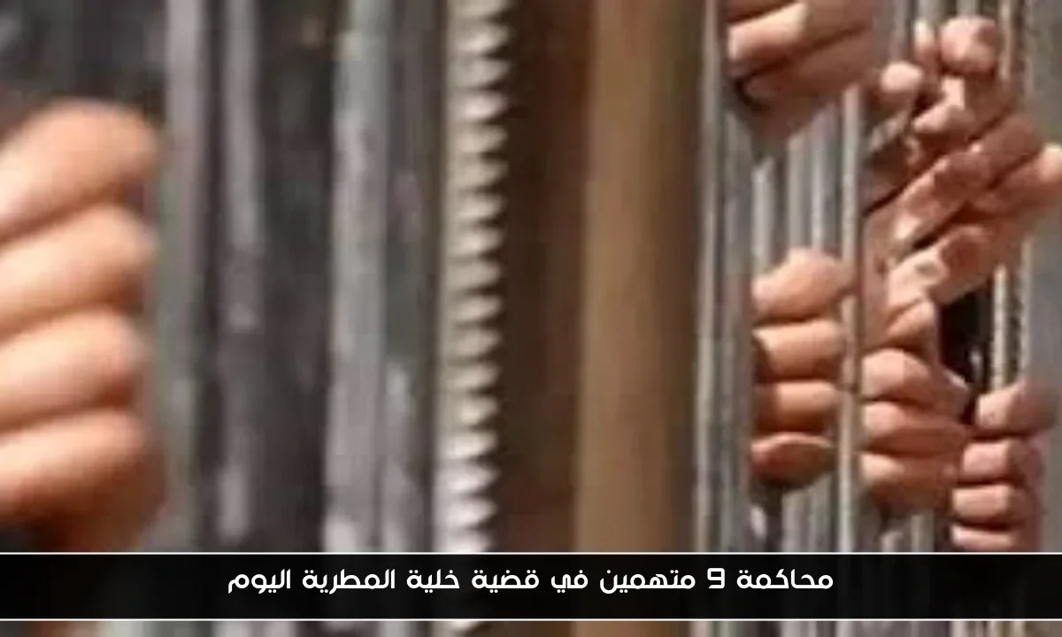 محاكمة 9 متهمين في قضية خلية المطرية اليوم