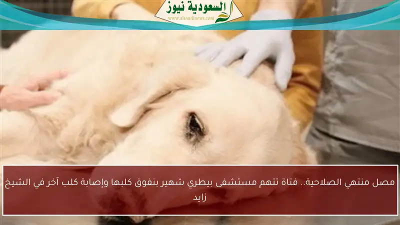 مصل منتهي الصلاحية.. فتاة تتهم مستشفى بيطري شهير بنفوق كلبها وإصابة كلب آخر في الشيخ زايد
