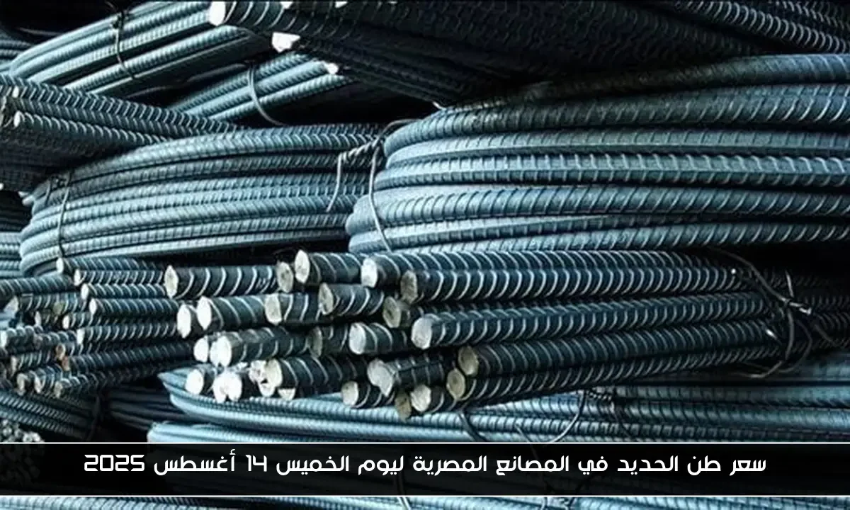 سعر طن الحديد في المصانع المصرية ليوم الخميس 14 أغسطس 2025