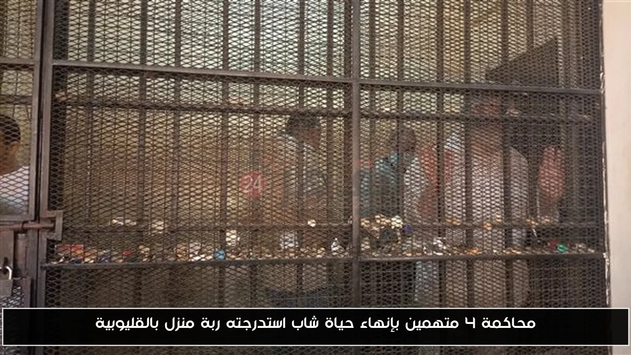 محاكمة 4 متهمين بإنهاء حياة شاب استدرجته ربة منزل بالقليوبية