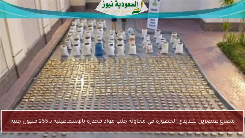 مصرع عنصرين شديدي الخطورة في محاولة جلب مواد مخدرة بالإسماعيلية بـ 255 مليون جنيه