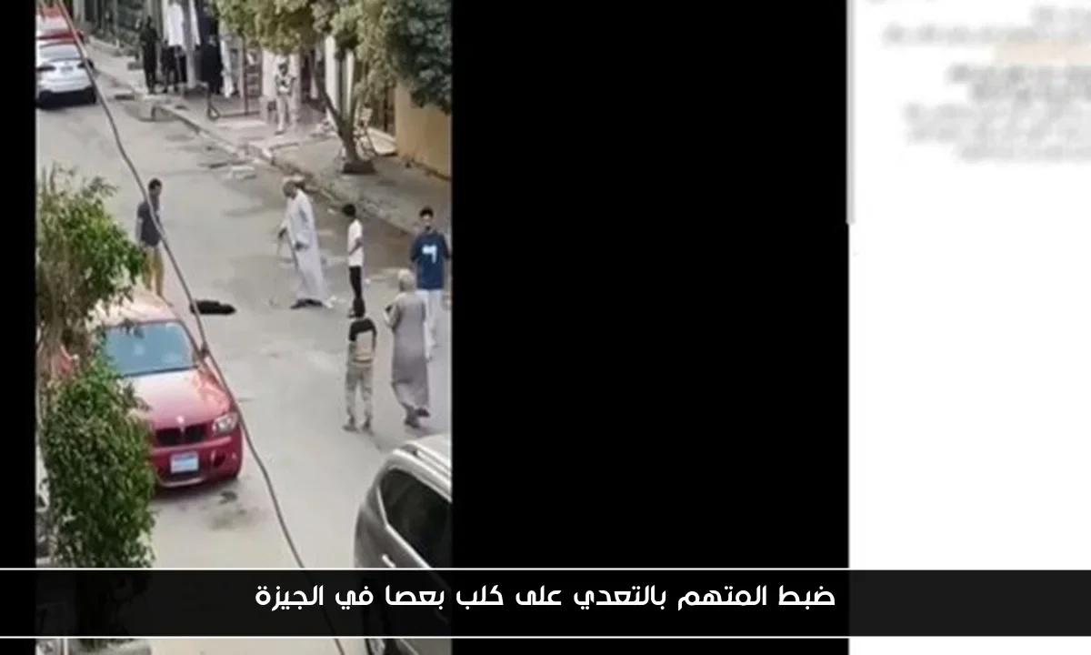 ضبط المتهم بالتعدي على كلب بعصا في الجيزة