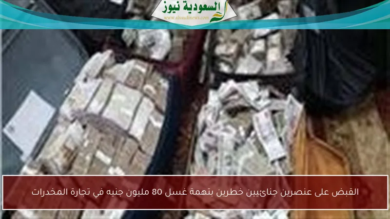 القبض على عنصرين جنائيين خطرين بتهمة غسل 80 مليون جنيه في تجارة المخدرات