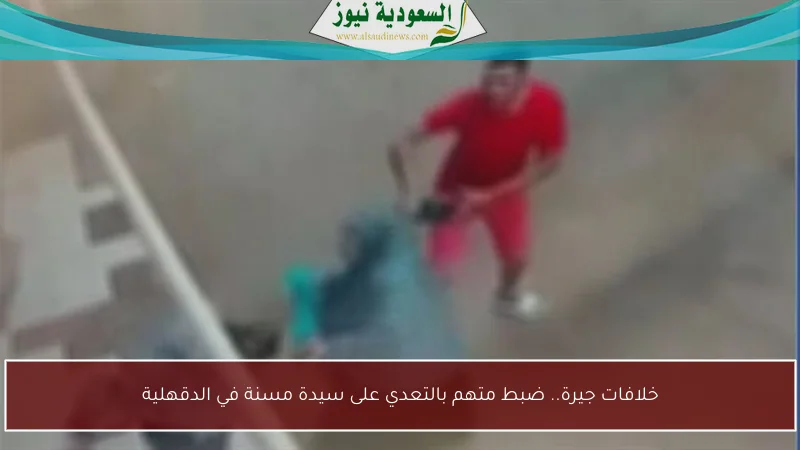 خلافات جيرة.. ضبط متهم بالتعدي على سيدة مسنة في الدقهلية
