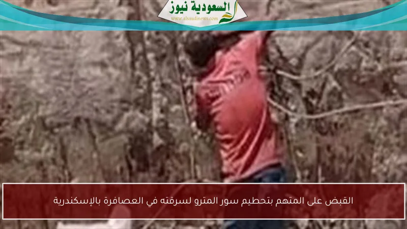 القبض على المتهم بتحطيم سور المترو لسرقته في العصافرة بالإسكندرية