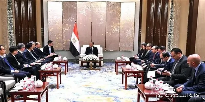 رئيس الوزراء يلتقي بشركة صينية رائدة في البتروكيماويات لاستكشاف فرص استثمار جديدة في مصر