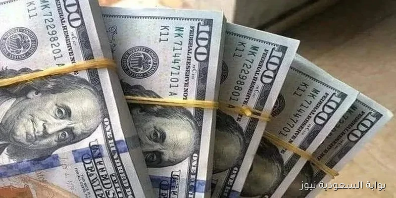 100 دولار سوق سوداء بكام؟ سعر الدولار مقابل الجنيه المصري الآن الأحد بعد الارتفاع