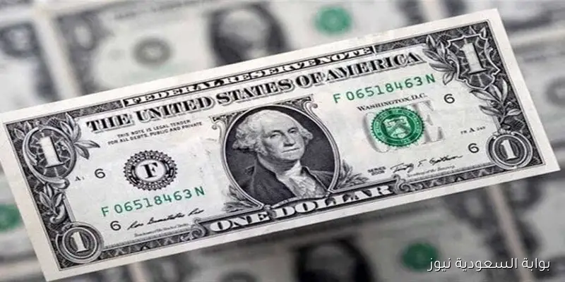 أول تحديث؟ سعر الدولار في مصر اليوم الإثنين 1-9-2025