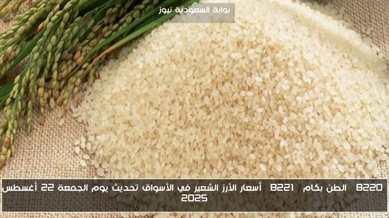 “الطن بكام” أسعار الأرز الشعير في الأسواق تحديث يوم الجمعة 22 أغسطس 2025