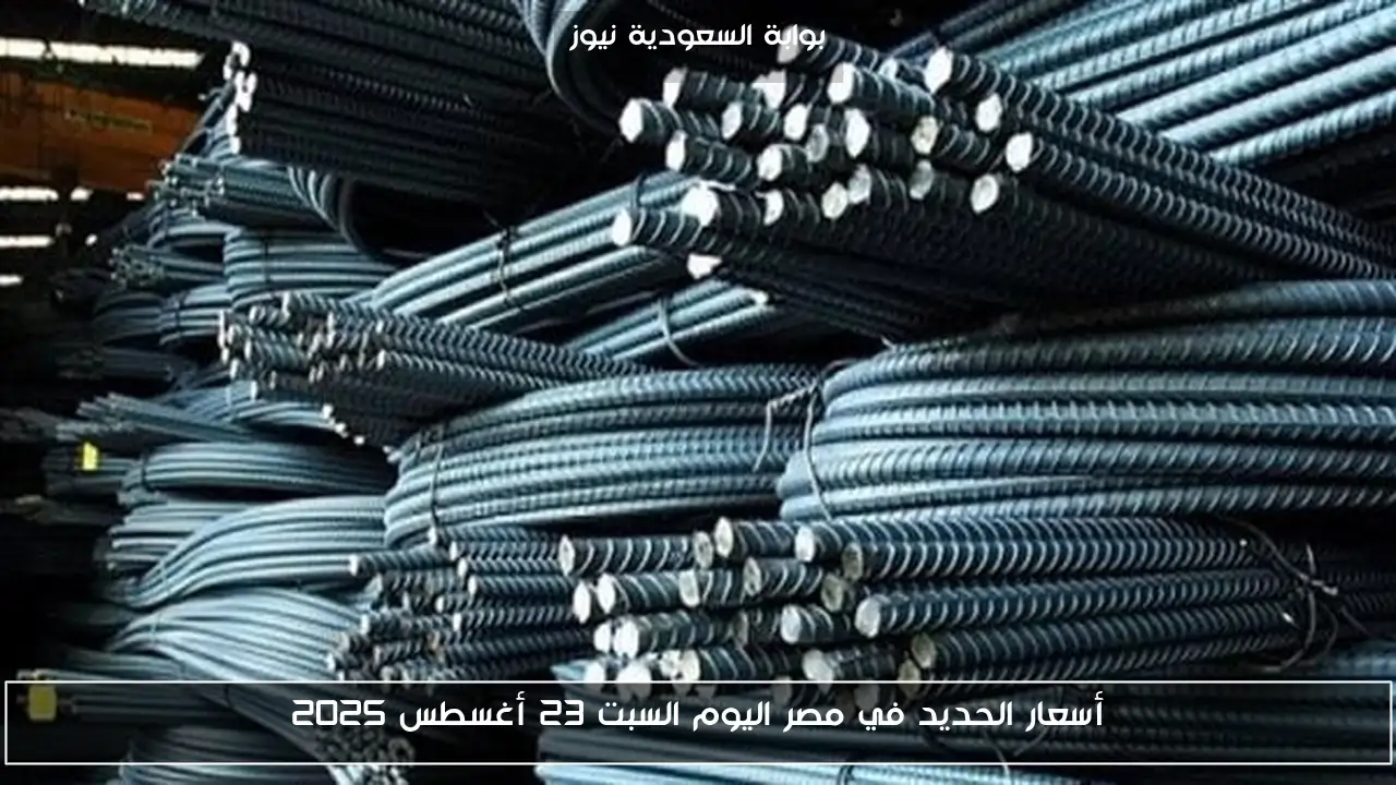 أسعار الحديد في مصر اليوم السبت 23 أغسطس 2025