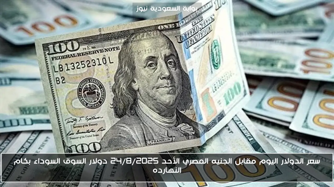 سعر الدولار اليوم مقابل الجنيه المصري الأحد 24/8/2025 دولار السوق السوداء بكام النهارده
