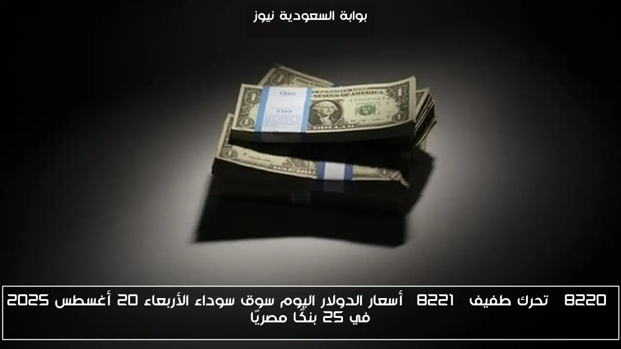 “تحرك طفيف” أسعار الدولار اليوم سوق سوداء الأربعاء 20 أغسطس 2025 في 25 بنكًا مصريًا