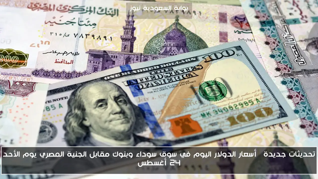 تحديثات جديدة… أسعار الدولار اليوم في سوق سوداء وبنوك مقابل الجنية المصري يوم الأحد 24 أغسطس