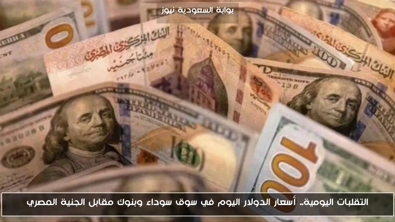 التقلبات اليومية.. أسعار الدولار اليوم في سوق سوداء وبنوك مقابل الجنية المصري