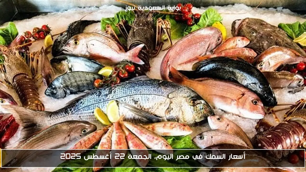 أسعار السمك في مصر اليوم، الجمعة 22 أغسطس 2025