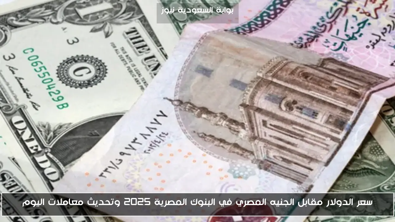 سعر الدولار مقابل الجنيه المصري في البنوك المصرية 2025 وتحديث تعاملات اليوم